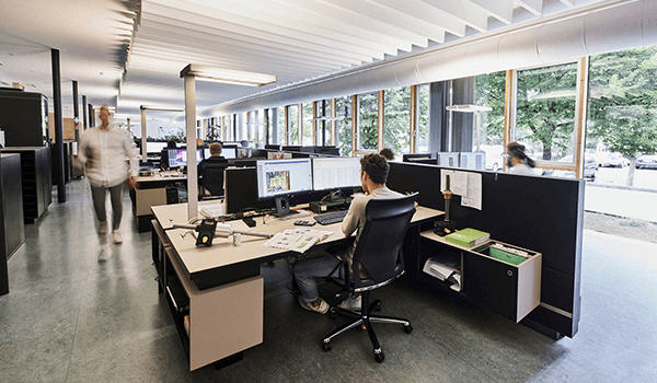 Historia - ZIMM | 2025